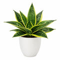 Plante verte artificielle 65 cm en plastique vert jaune avec pot blanc décorative intérieure