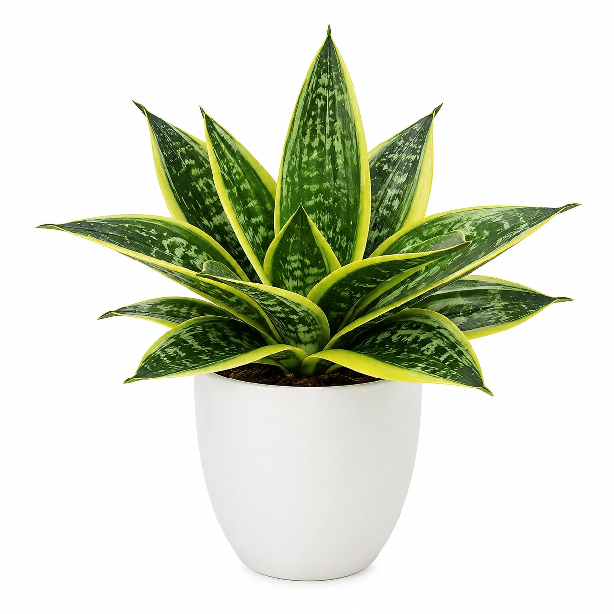 Plante verte artificielle 65 cm en plastique vert jaune avec pot blanc décorative intérieure