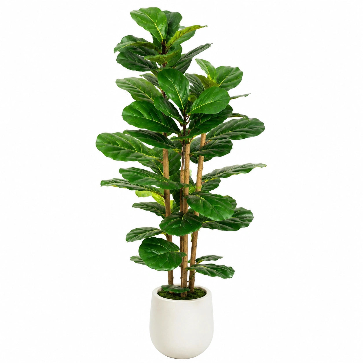 Plante artificielle Ficus lyrata 160 cm vert en polyester pour intérieur avec pot décoratif